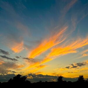 Meet your Posher, Tee